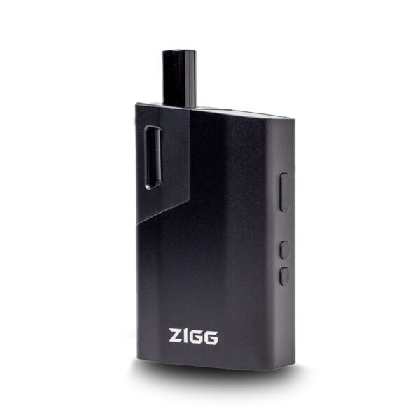 Vaporizador de Ervas Zigg 2.0 KingVapo com design moderno e câmara de aquecimento em aço inoxidável.