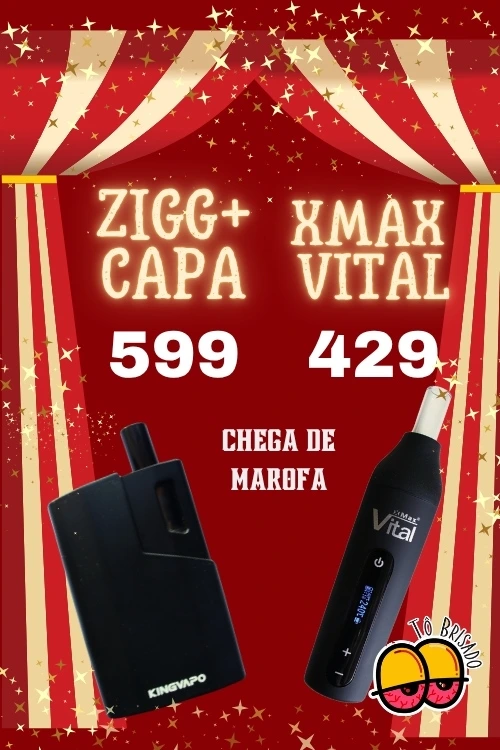 vaporizador-de-ervas